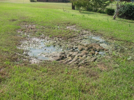 Why Do Septic Tanks Overflow?